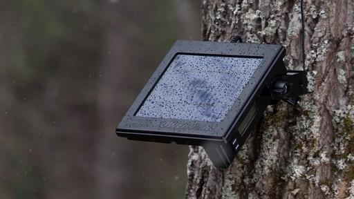 Moultrie A-25 Trail/Game Camera Bundle - image 8 from the video